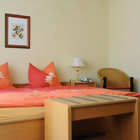 Helga 게스트하우스 바트두르크하임