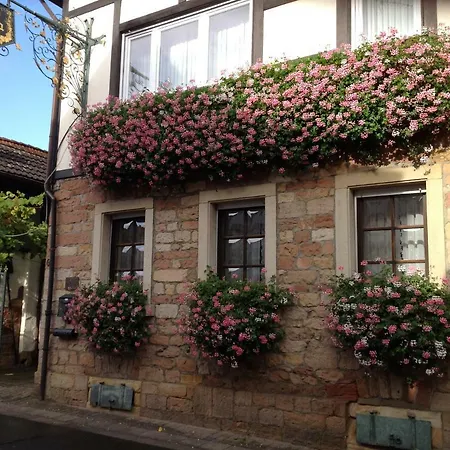 게스트하우스 Helga 바트두르크하임