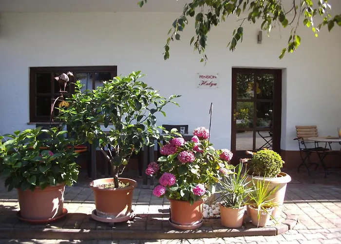 Helga 巴特迪克海姆